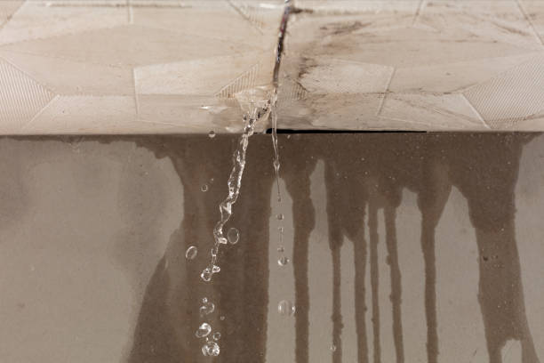 Professional Burst Pipe Cleanup technician working in Badger, CA